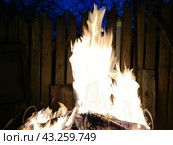 Burning bonfire in the dark. Стоковое фото, фотограф Andrew_Swarga / Фотобанк Лори