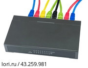 Сетевой коммутатор с подключенными разноцветными сетевыми кабелями. Closeup of network cables connected to router on white. Стоковое фото, фотограф Татьяна Д / Фотобанк Лори
