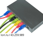 Сетевой коммутатор с подключенными разноцветными сетевыми кабелями. Closeup of network cables connected to router on white. Стоковое фото, фотограф Татьяна Д / Фотобанк Лори