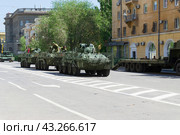 Модернизированные бронетранспортёыр БТР-82М, подготовка к параду Победы. Волгоград, улица Мира, Россия. (2024 год). Редакционное фото, фотограф Андрей Цыганков / Фотобанк Лори
