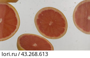 Slow motion. Fresh sliced grapefruit falling down into water with splashes and bubbles on white background. Food concept. Slow motion. Fresh sliced grapefruit falling down into water with splashes and bubbles on white background. Стоковое видео, видеограф Александр Собко / Фотобанк Лори
