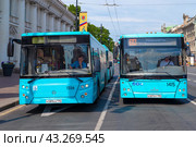 Два городских автобуса на Невском проспекте солнечным июньским днем. Вид спереди (2024 год). Редакционное фото, фотограф Виктор Карасев / Фотобанк Лори