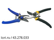 Садовый секатор на белом фоне. Gardening secateurs for cutting branches isolated on white. Стоковое фото, фотограф Татьяна Д / Фотобанк Лори
