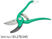 Садовый секатор на белом фоне. Gardening secateurs for cutting branches isolated on white. Стоковое фото, фотограф Татьяна Д / Фотобанк Лори