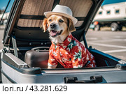 A stylish puppy on a journey, a charming funny dog in a Hawaiian shirt and hat, sitting in an open suitcase. The concept of summer holidays and traveling with animals. Стоковое AI-изображение, AI-художник Photojuli / Фотобанк Лори