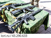 Different samples of russian small arms. Стоковое фото, фотограф FotograFF / Фотобанк Лори