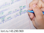 Ребенок исправляет ошибку с предлогом в классной работе по русскому языку. Стоковое фото, фотограф Евгения Золкина / Фотобанк Лори
