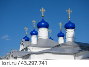 Купола церкви Успения Пресвятой Богородицы. Храмовый комплекс в Завидово. Тверская область (2024 год). Редакционное фото, фотограф Natalia Sidorova / Фотобанк Лори