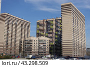 Дома компании ЦДС. Новая ул. д. 17 (к. 1,2), 19, 15 (2024 год). Редакционное фото, фотограф Юрий Пуликов / Фотобанк Лори