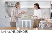 Relatives quarrel in the kitchen - an adult daughter quarrels with an elderly mother. Стоковое видео, видеограф Яков Филимонов / Фотобанк Лори