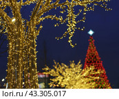Fairytale landscape in Moscow downtown at night. Trees are decorated with bright light garlands. Blue glowing Christmas tree. The concept of the beauty of the city and a winter fairy tale. (2020 год). Стоковое фото, фотограф YuryKara / Фотобанк Лори