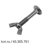 Closeup metal screw (bolt) and nuts. Стоковое фото, фотограф Денис Дряшкин / Фотобанк Лори