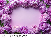A frame with beautiful peony flowers on a pastel purple background. The layout of the apartment, top view, a place to copy, summer flowers. Стоковое AI-изображение, AI-художник Photojuli / Фотобанк Лори