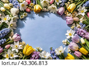 Beautiful floral background. A frame of spring flowers with tulips, daffodils, crocuses, hyacinths. View from above. Space for text. Стоковое AI-изображение, AI-художник Photojuli / Фотобанк Лори