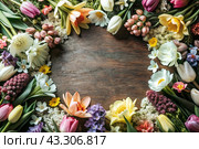 Beautiful floral background. A frame of spring flowers with tulips, daffodils, crocuses, hyacinths. View from above. Space for text. Стоковое AI-изображение, AI-художник Photojuli / Фотобанк Лори