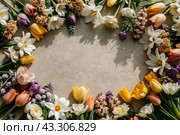Beautiful floral background. A frame of spring flowers with tulips, daffodils, crocuses, hyacinths. View from above. Space for text. Стоковое AI-изображение, AI-художник Photojuli / Фотобанк Лори