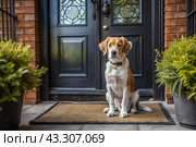 Animal care. The puppy sits patiently at the front door, looking forward to his master and walking with him. Стоковое AI-изображение, AI-художник Photojuli / Фотобанк Лори