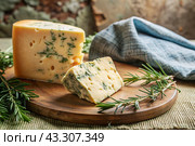 Cheese with mold, a slice of cheese with mold door blue or Roquefort on a cutting board. Delicious food. Стоковое AI-изображение, AI-художник Photojuli / Фотобанк Лори