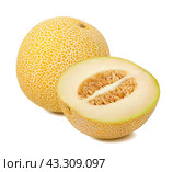 Galia melon composition isolated. Стоковое фото, фотограф Катерина Ковалева / Фотобанк Лори