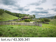 Село Суенга. Новосибирская область, Маслянинский район, Западная Сибирь России. (2024 год). Стоковое фото, фотограф Евгений Мухортов / Фотобанк Лори