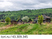 Село Суенга. Новосибирская область, Маслянинский район, Западная Сибирь России. (2024 год). Стоковое фото, фотограф Евгений Мухортов / Фотобанк Лори