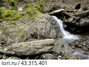 Водопад на притоке реки Сибирь, Даховская, Адыгея. Стоковое фото, фотограф Оглоблин Андрей Николаевич / Фотобанк Лори