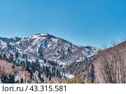 Medeo Valley in Trans-Ili Alatau mountain range. Almaty, Kazakhstan. (2024 год). Стоковое фото, фотограф Ирина Кононова / Фотобанк Лори