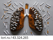 Human lungs consisting of many cigarettes and cigarette butts. Harm of smoking. Стоковое AI-изображение, AI-художник Евгений Ткачёв / Фотобанк Лори
