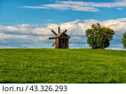 Topicated sprouted green grass and mill on the horizon line. Стоковое фото, фотограф Владимир Ушаров / Фотобанк Лори