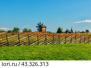 Landscape on the island of Kizhi with a windmill. Стоковое фото, фотограф Владимир Ушаров / Фотобанк Лори