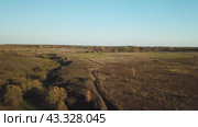 Panoramic aerial views reveal serene landscapes with sparse trees against a clear sky. Стоковое видео, видеограф Victor Kaprov / Фотобанк Лори