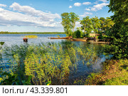 Bay overgrown with reeds and boats on the water and off the shore. Стоковое фото, фотограф Владимир Ушаров / Фотобанк Лори