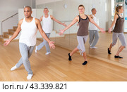 Adult dancers practicing synchronous choreography in studio. Стоковое фото, фотограф Яков Филимонов / Фотобанк Лори