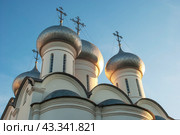 Купола Софийского собора. Вологда (2014 год). Стоковое фото, фотограф Александр Щепин / Фотобанк Лори