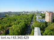 Вид на Бабушкинский парк и жилые дома на Янтарном проезде в Москве (2024 год). Стоковое фото, фотограф Александр Замараев / Фотобанк Лори