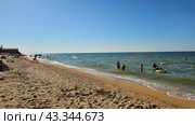 Пляж. Станица Голубицкая. Азовское море (2024 год). Стоковое фото, фотограф Марина Володько / Фотобанк Лори