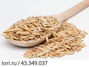 Овсянка деревянной ложкой на белом фоне. oat  with a wooden spoon. Стоковое фото, фотограф Александр Собко / Фотобанк Лори