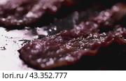 The sound of bacon sizzling on a hot griddle with oil and salt fills the air with a delicious aroma. Стоковое видео, видеограф Victor Kaprov / Фотобанк Лори