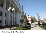 Узбекистан. Ташкент. Филиал МГИМО МИД РФ (2024 год). Стоковое фото, фотограф Ерохин Дмитрий Викторович / Фотобанк Лори
