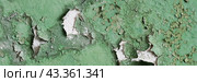 Peeling paint on the wall. Panorama of a concrete wall with old cracked flaking paint. Weathered rough painted surface with patterns of cracks and peeling. Grunge texture for wide panoramic background. Стоковое фото, фотограф Андрей Степанов / Фотобанк Лори