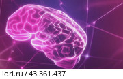 Animated Background with Holographic Brain Image. Стоковое AI-видео, аниматор Юрий Поздников / Фотобанк Лори