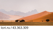 Red Sossusvlei dunes against Naukluft mountains. Panoramic landscape of Sossusvlei, Namib Naukluft National Park, Namibia (2015 год). Редакционное фото, фотограф Анна Ефимова / Фотобанк Лори
