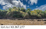 Littoral at low tide. Boulders and algae are visible on the exposed seabed. The layered coastal cliffs have lush green vegetation. Clouds in the blue sky. Madagascar. Nosy Be. Стоковое фото, фотограф Вера Ивановна Кубарева / Фотобанк Лори