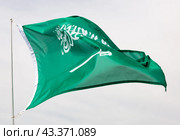 Flag of Saudi Arabia waving on flagstaff against cloudy sky. Стоковое фото, фотограф Яков Филимонов / Фотобанк Лори