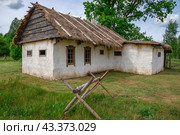 Сельский дом с соломенной крышей. Псковская область (2024 год). Стоковое фото, фотограф Анна Карасева / Фотобанк Лори