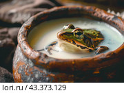 Лягушка в крынке с молоком. Стоковое AI-изображение, AI-художник Щеголева Ольга / Фотобанк Лори