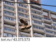 Два связанных ботинка висят на проводе на фоне окон жилого дома. Стоковое фото, фотограф Сергей Никифоров-Гордеев / Фотобанк Лори