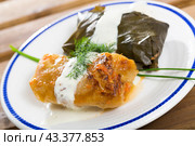 Cabbage and grape rolls in leaves at plate, dish of European cuisine. Стоковое фото, фотограф Яков Филимонов / Фотобанк Лори