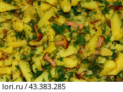Лесные грибы лисички жареные с картошкой, с укропом и зеленым луком. Стоковое фото, фотограф Photolart / Фотобанк Лори