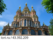 Собор Святых апостолов Петра и Павла. Петергоф (Санкт-Петербург) (2024 год). Стоковое фото, фотограф Анна Карасева / Фотобанк Лори